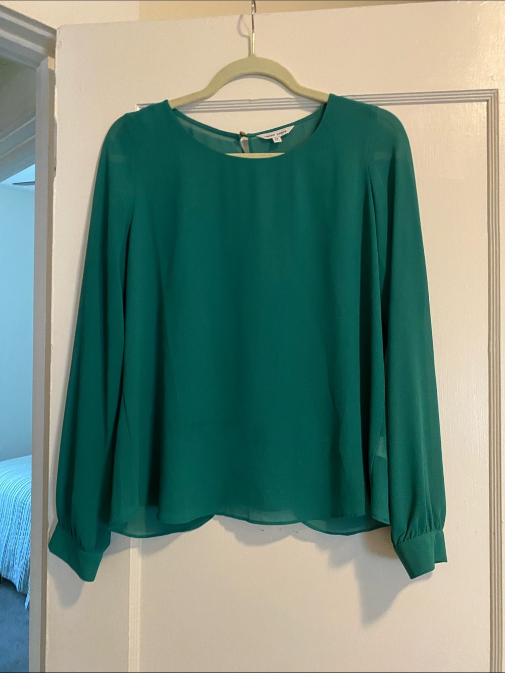 Naked Zebra Teal Green Long Sleeve Blouse